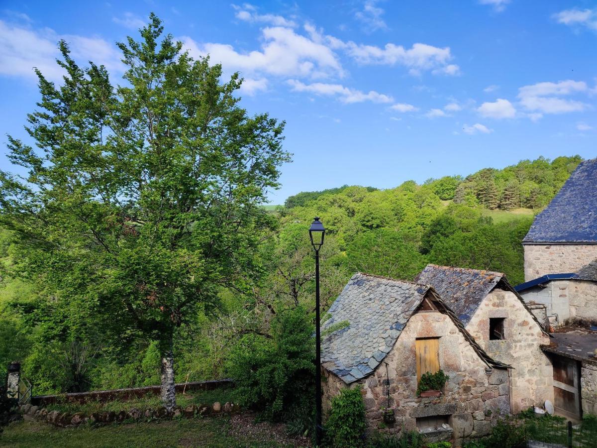 Maison Charmante A Florentin La Capelle Avec Jardin Et Vue Montagne Florentin-la-Capelle Exterior foto